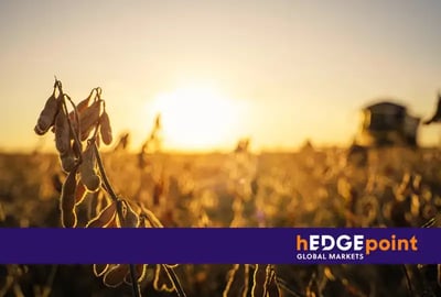 Soybean harvest: what are the forecasts in South America?