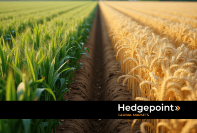 Corn and wheat: prospects and challenges for 2025