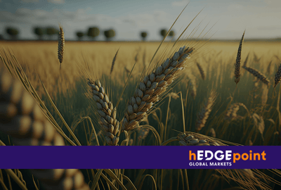 The Wheat Market: Scenario for Argentina and Southern Brazil