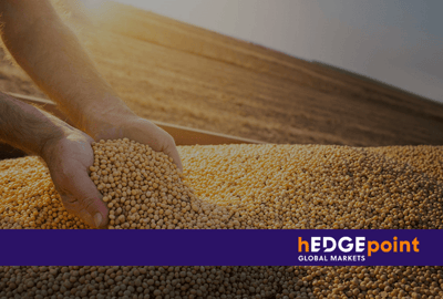What is fungibility in commodity markets?