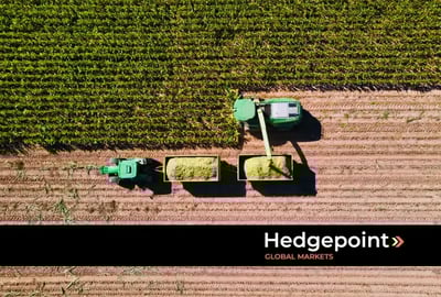 A cadeia produtiva agrícola