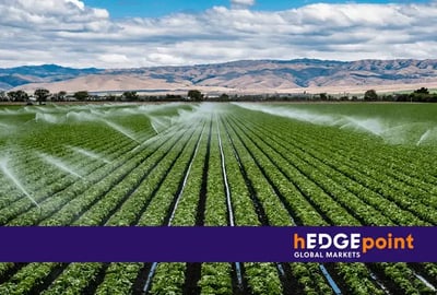 Comprender la importancia del riego en la agricultura 4.0