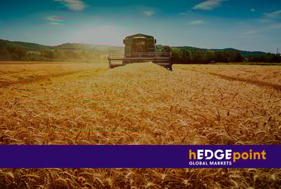 Cosecha de trigo en Argentina: entienda el escenario actual