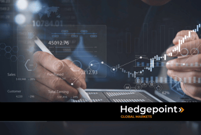 O que abordam os relatórios produzidos pela Hedgepoint?