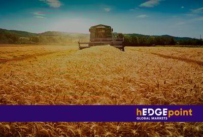Wheat harvest in Argentina: understand the current scenario