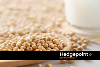 Soy and oilseeds outlook for 2025