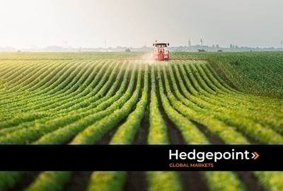 Agriculture: how important is it for food security?