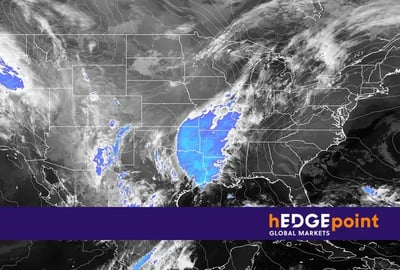Cold wave in the United States: understand the effects on the commodities market