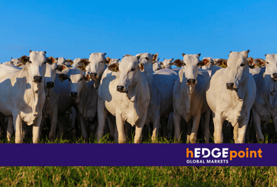 Opportunities in the Animal Protein Market: Brazil as a Powerhouse
