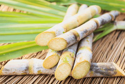 The Sugar Market: What’s the current situation and future prospects?