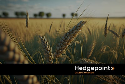 Mercado do trigo: cenário na Argentina e no Sul do Brasil