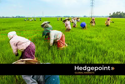 Como o clima na Índia afeta a produção de commodities?