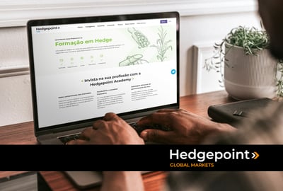 Curso de hedge: entenda a formação