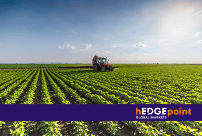 Soybean market: how do futures contracts work?