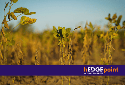 The influence of climatic phenomena on commodity markets