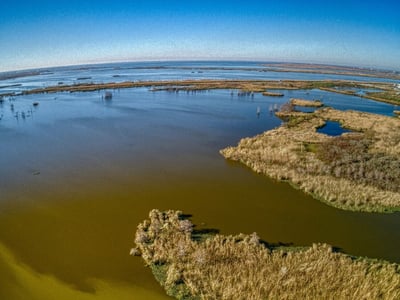 Sequía en el río Mississippi: impactos y oportunidades para el agromercado brasileño