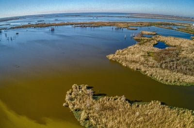 Mississippi River drought: Impacts on the agribusiness chain