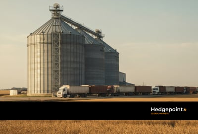 The challenges of grain storage and transportation in Brazil in 2025