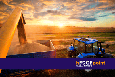 Market Intelligence Analysis: June’s WASDE