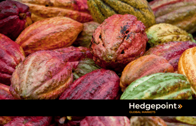 Why is chocolate more expensive this year?